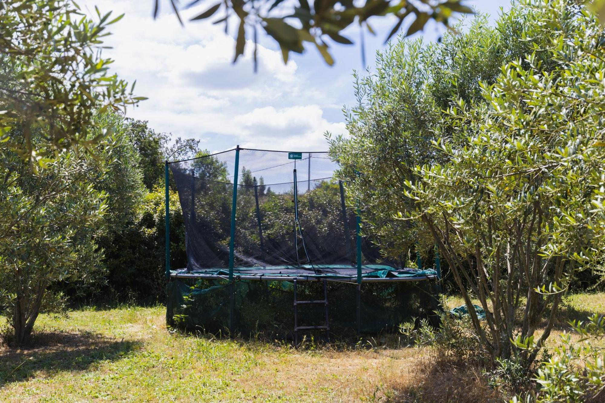 Gite Petit Luberon Chez Manon En Luberon - Vacation Rental In Guest House Lagnes Extérieur photo